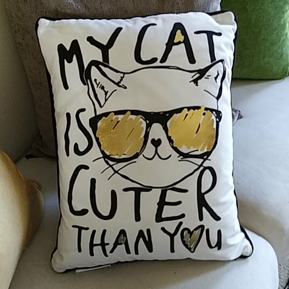 My Cat is Cuter Than You Pillow